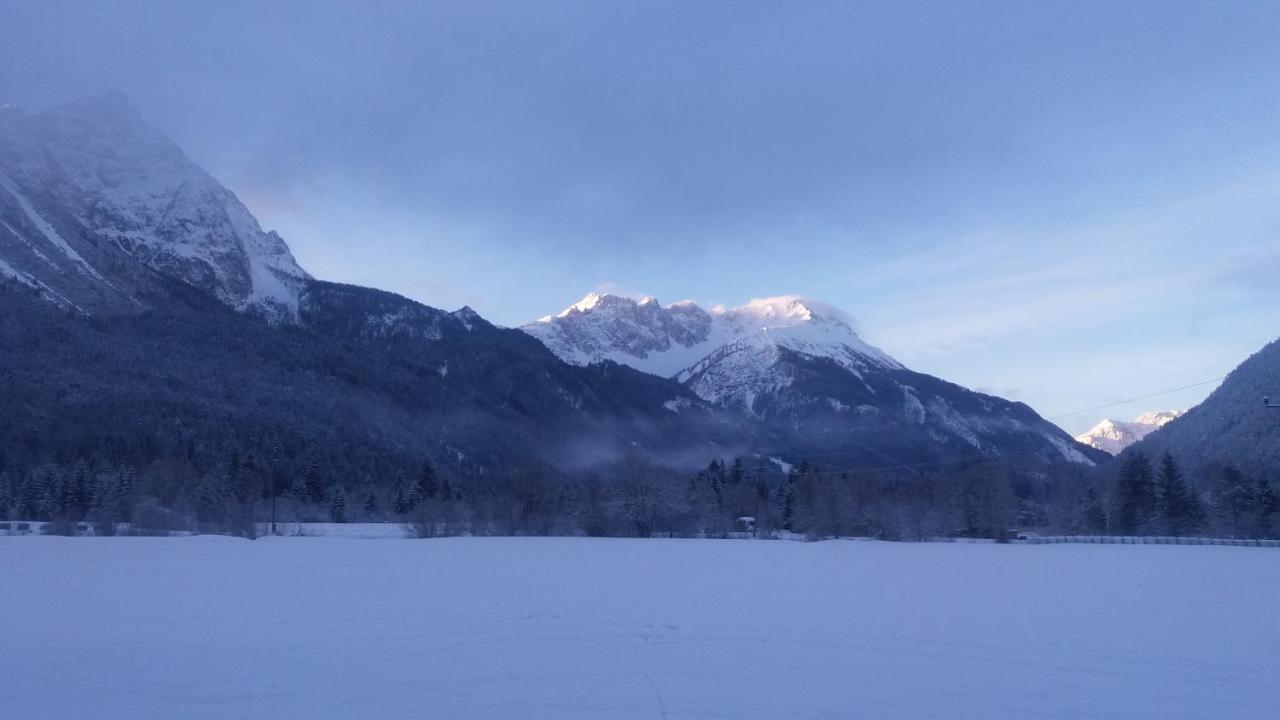Tyrol Appartements Ehrwald Kültér fotó
