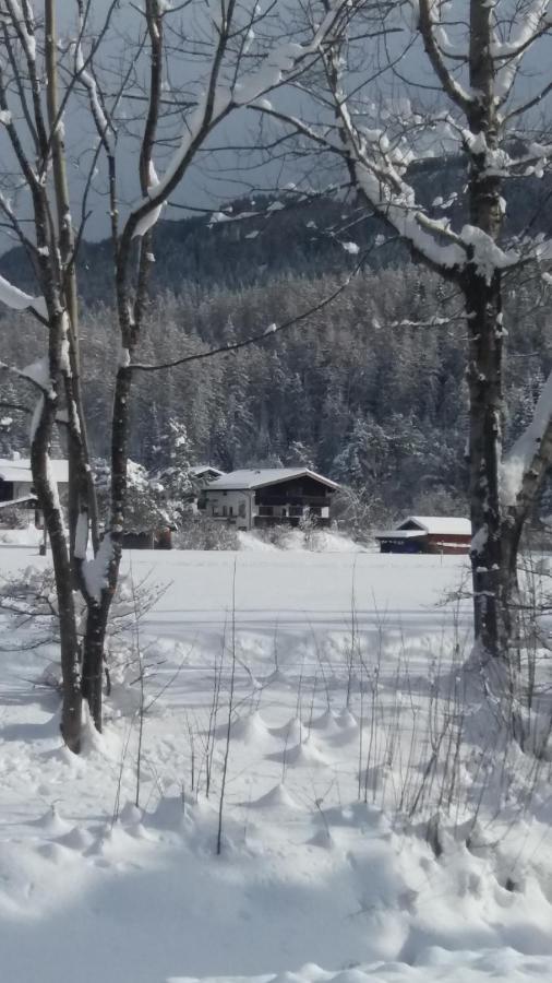Tyrol Appartements Ehrwald Kültér fotó